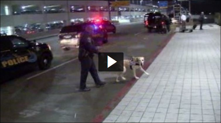 APRIL 8, 2015 - Lockdown lifted, 1 in custody at Detroit Metro Airport